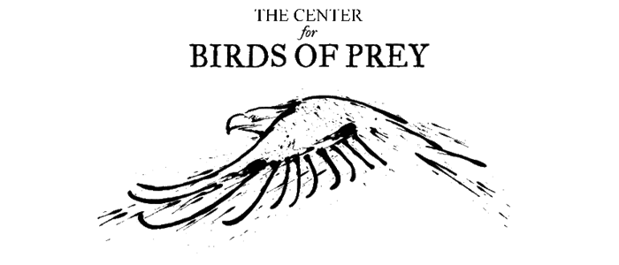 Birds of Prey